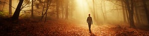 Walking in forest