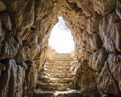 way out escape
