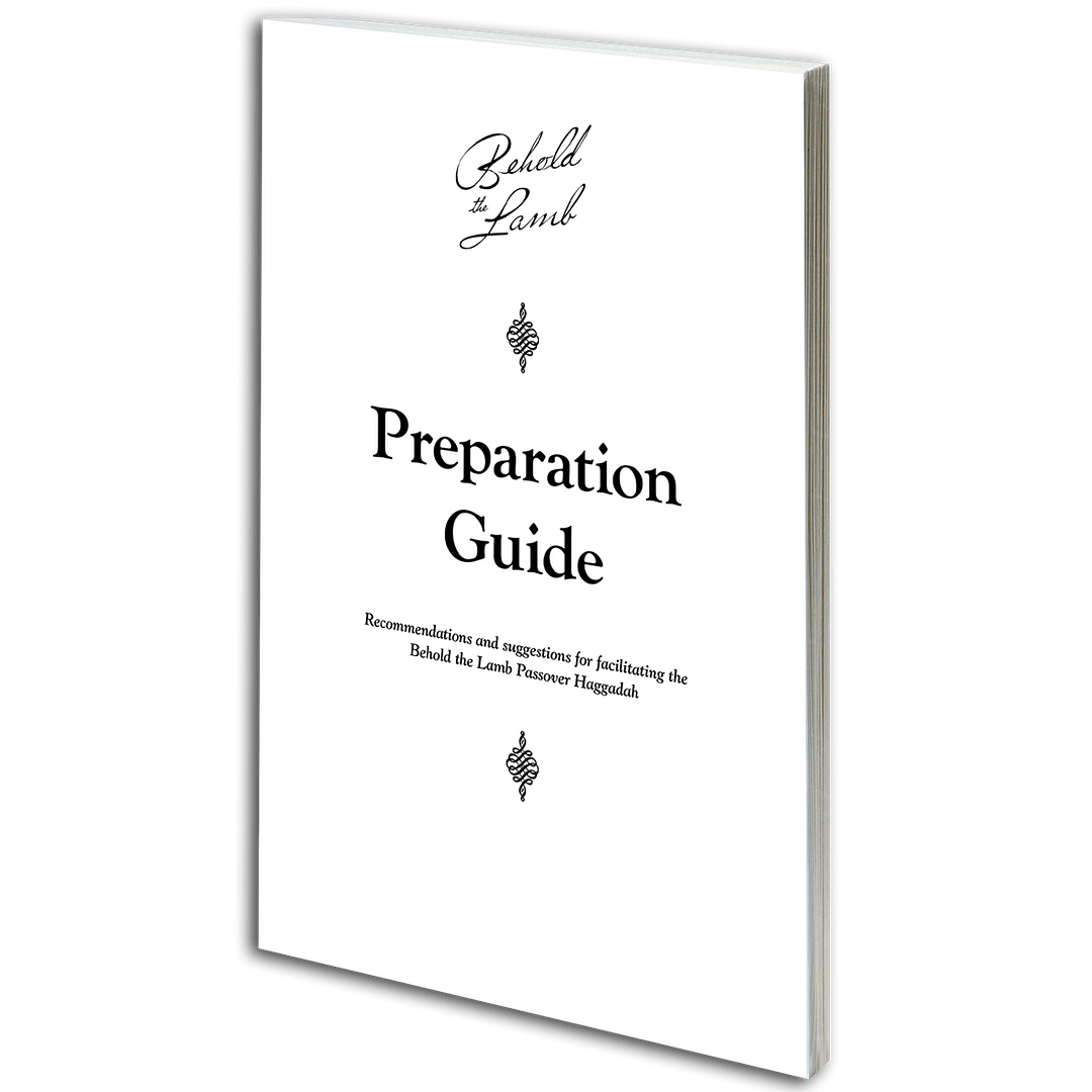 btl_facilitators_guide